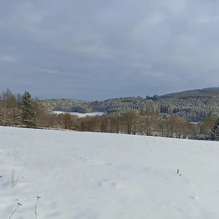 Villa V českém Lese