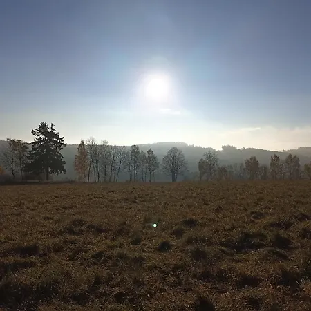 V Ceskem Lese * Bela nad Radbuzou