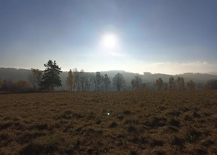 V Ceskem Lese * Bela nad Radbuzou