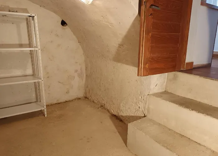 V Ceskem Lese Bela nad Radbuzou