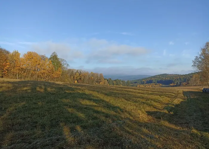 V českém Lese *